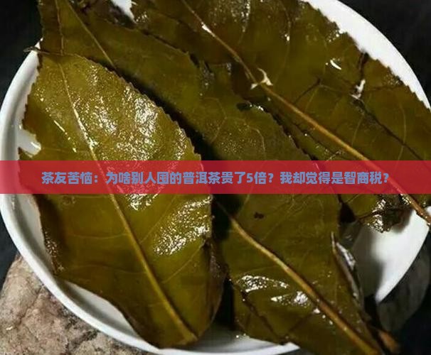 普洱茶为什么被炒的那么高