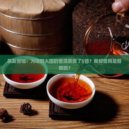 普洱茶为什么被炒的那么高