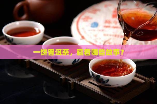 一饼普洱茶有哪些 一饼普洱茶有哪些