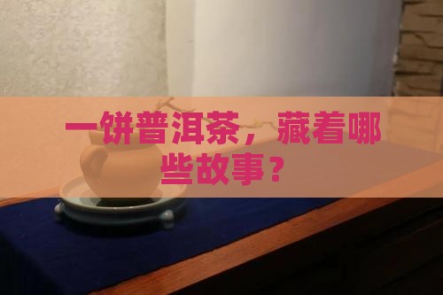 一饼普洱茶有哪些 一饼普洱茶有哪些