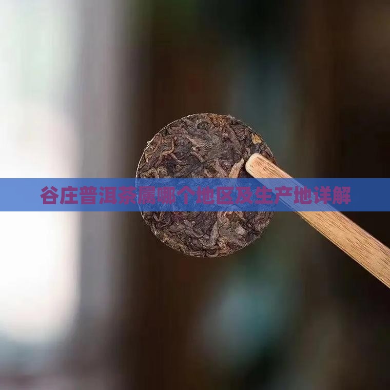 谷庄普洱茶属哪个地区 谷庄普洱茶属哪个地区