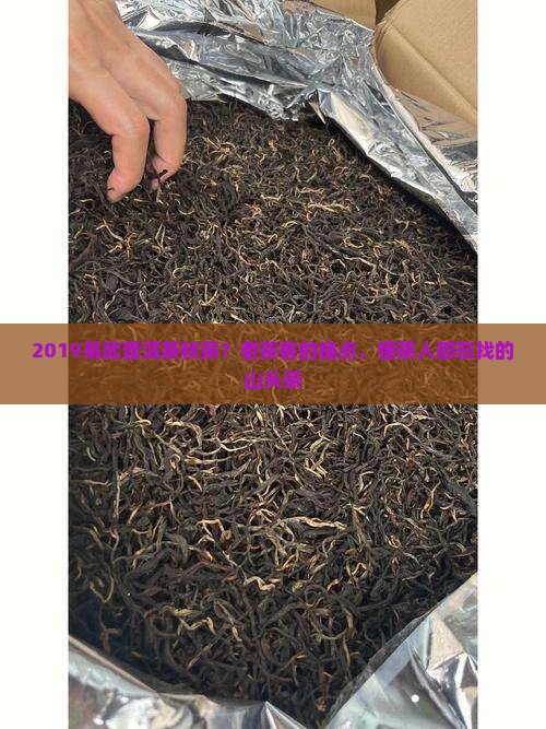 2019易武普洱茶秋茶
