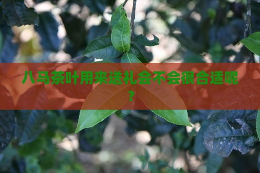 八马茶叶送礼好吗