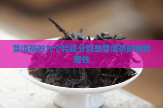 普洱茶的九个特征分别是