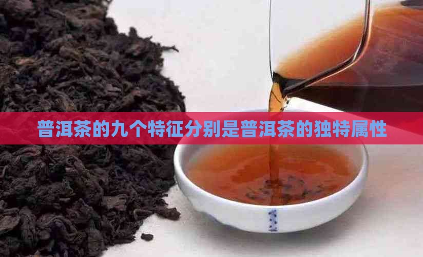 普洱茶的九个特征分别是