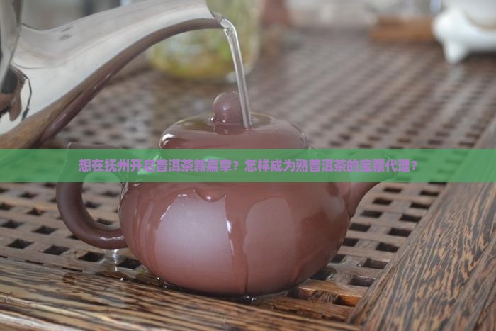 抚州熟普洱茶怎么代理