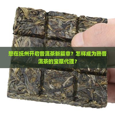 抚州熟普洱茶怎么代理