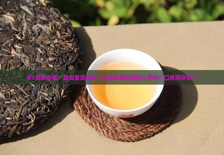 勐海普洱茶开门红沱茶