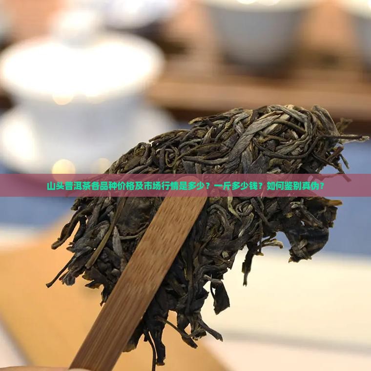 山头普洱茶价格多少钱一斤
