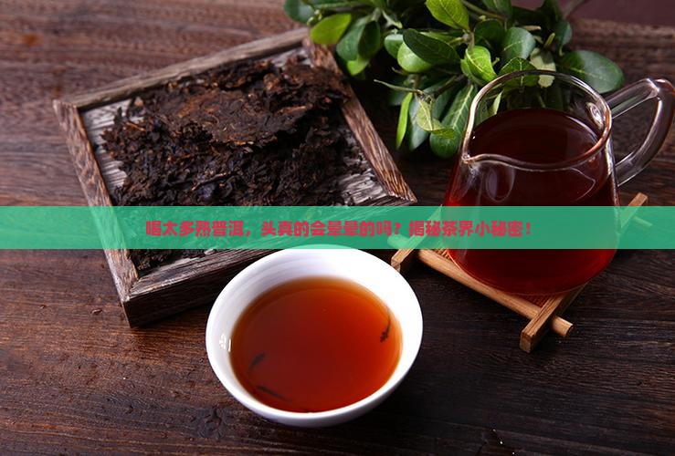熟普洱茶喝多了会头晕吗