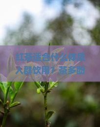 红茶适合什么体质人喝