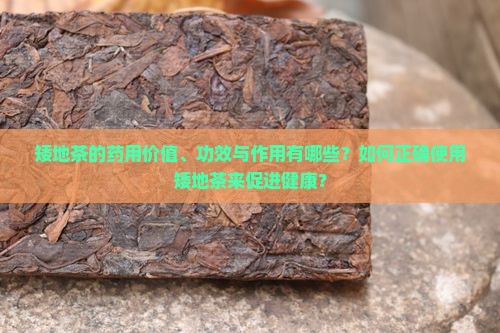 矮地茶的功效和作用