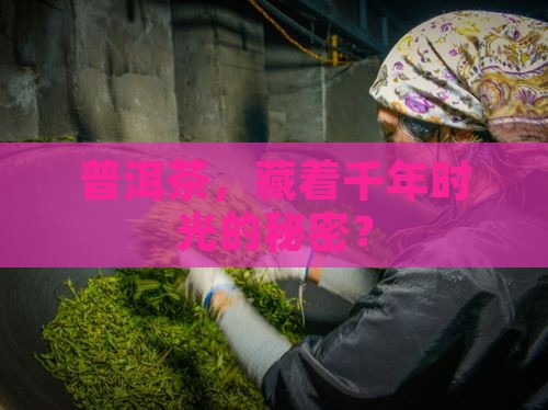 普洱茶的特性有历史性