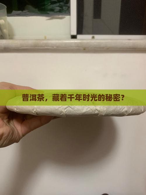 普洱茶的特性有历史性