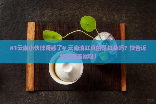 云南滇红属于红茶吗