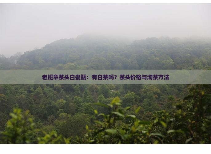 老班章茶头白瓷瓶