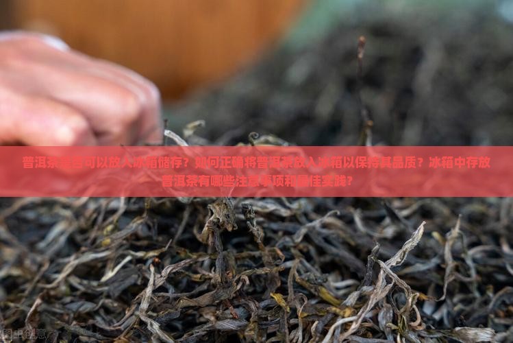 普洱茶如何放入冰箱