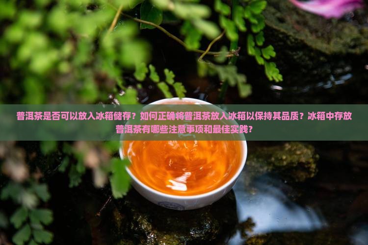 普洱茶如何放入冰箱