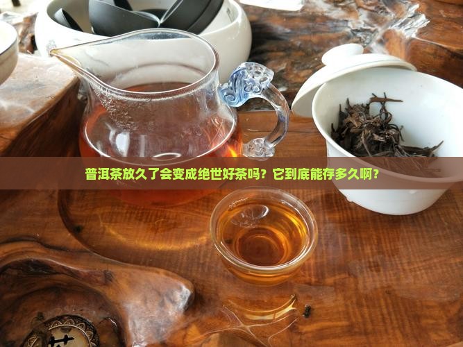 普洱茶适合保存多久的
