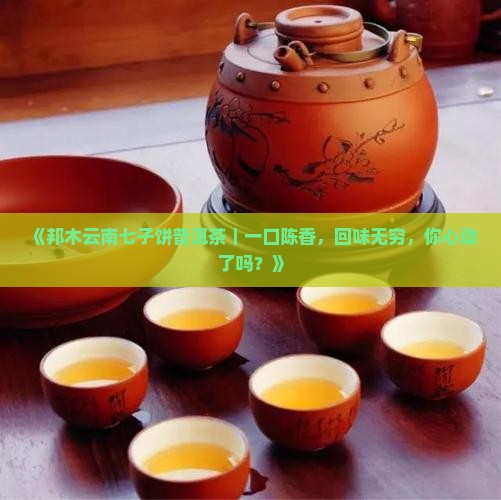 邦木云南七子饼普洱茶