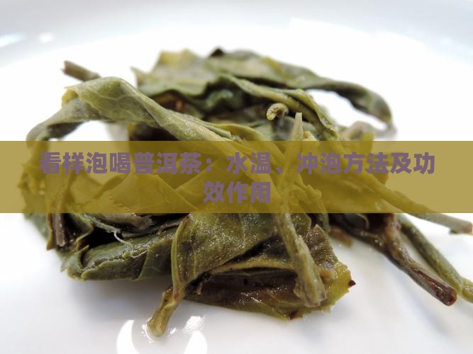 看样泡喝普洱茶