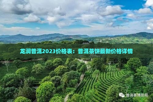 龙润普洱茶饼价格表2023