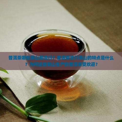 普洱茶流行茶山吗是什么