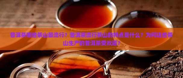 普洱茶流行茶山吗是什么