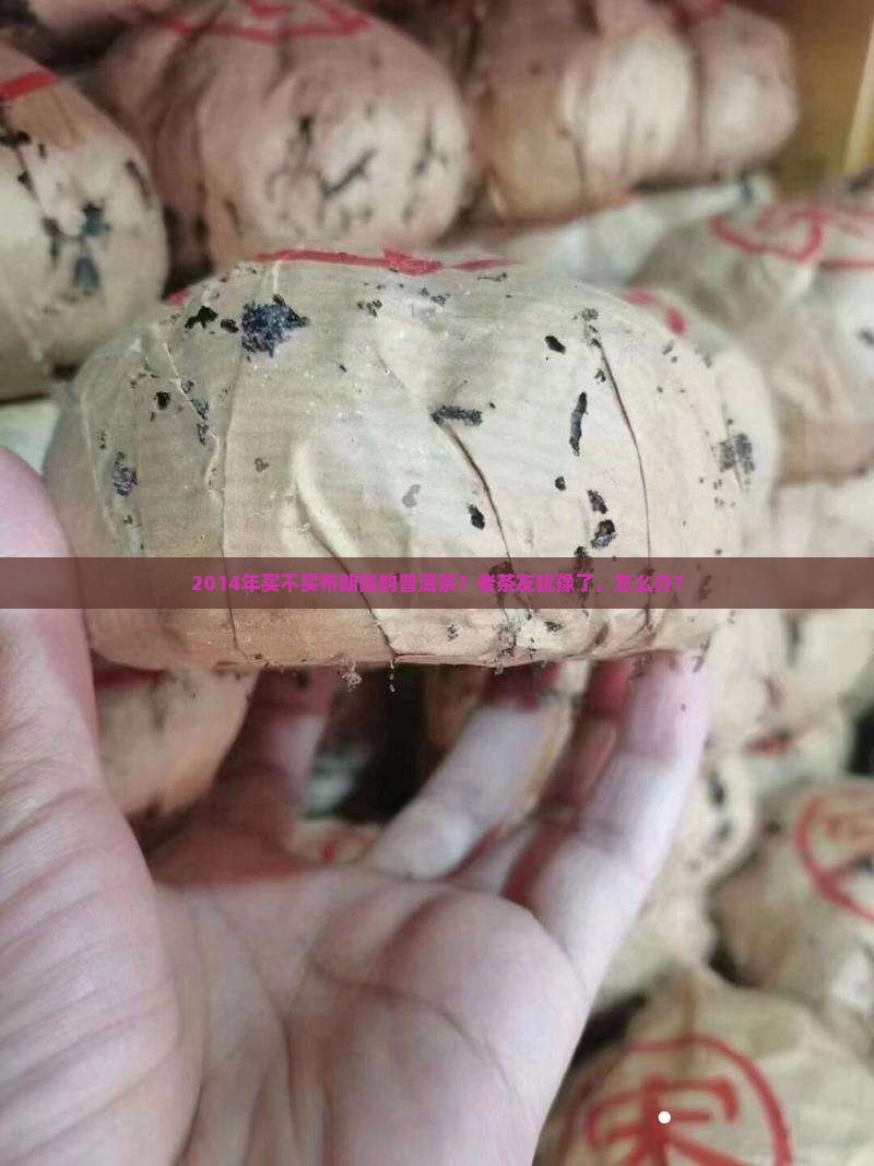 2014布朗陈韵普洱茶
