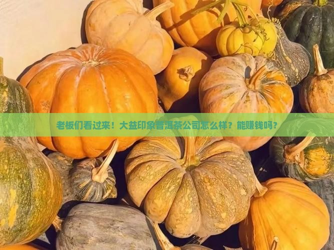 大益印象普洱茶有限公司
