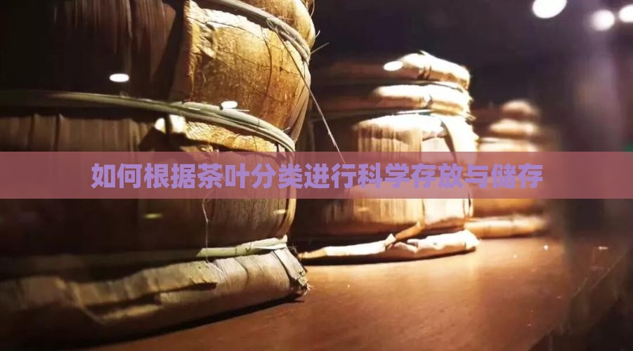 茶叶如何分类存放