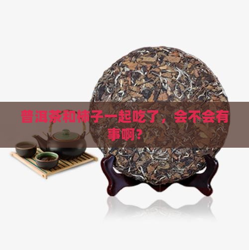 普洱茶和柿子一起吃了