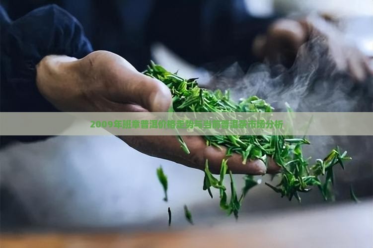 班章普洱茶2009年价格