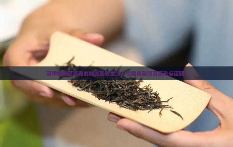 夏季喝普洱茶么