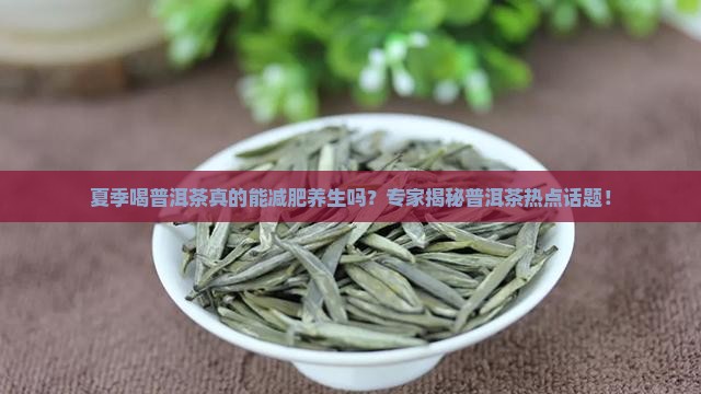 夏季喝普洱茶么