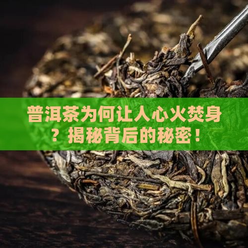 有些普洱茶喝了烧心