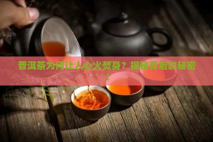 有些普洱茶喝了烧心
