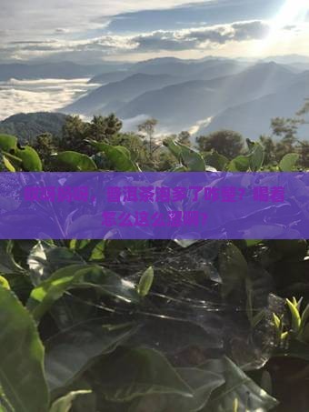 普洱茶泡多了为什么很涩