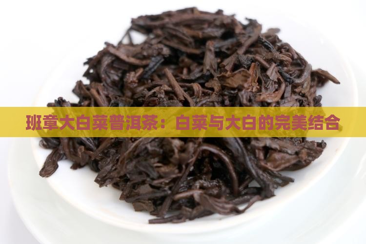 第一代大白菜普洱茶