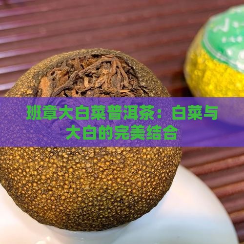 第一代大白菜普洱茶