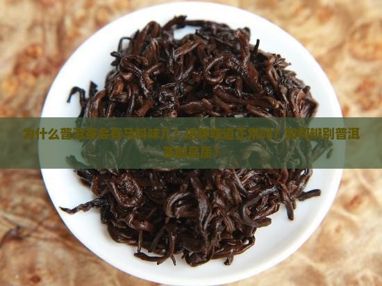 普洱茶有马料味儿