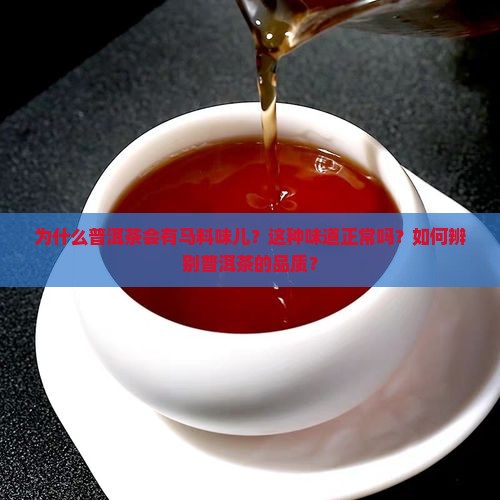 普洱茶有马料味儿