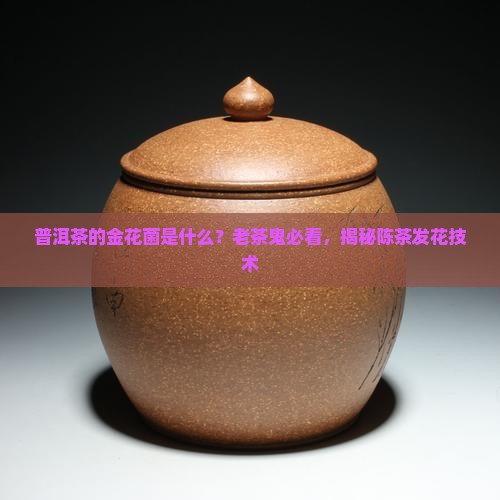 普洱茶的金花菌