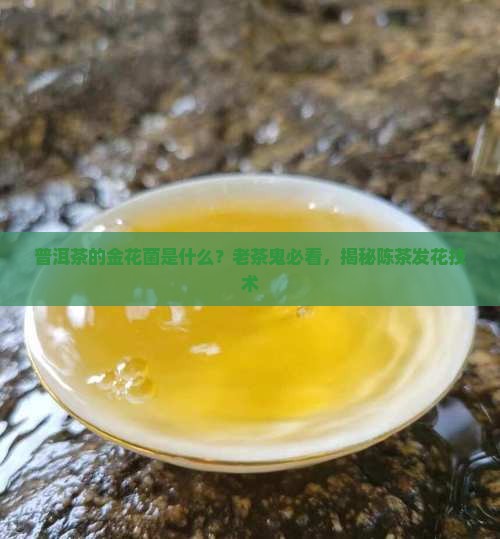 普洱茶的金花菌