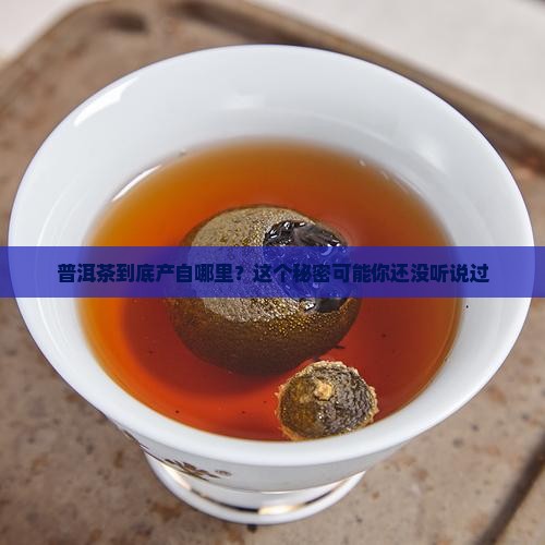 普洱茶的产地在哪里看