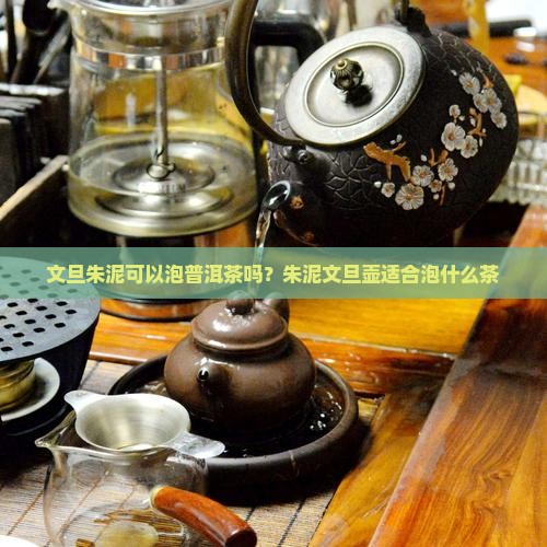 文旦朱泥可以泡普洱茶吗