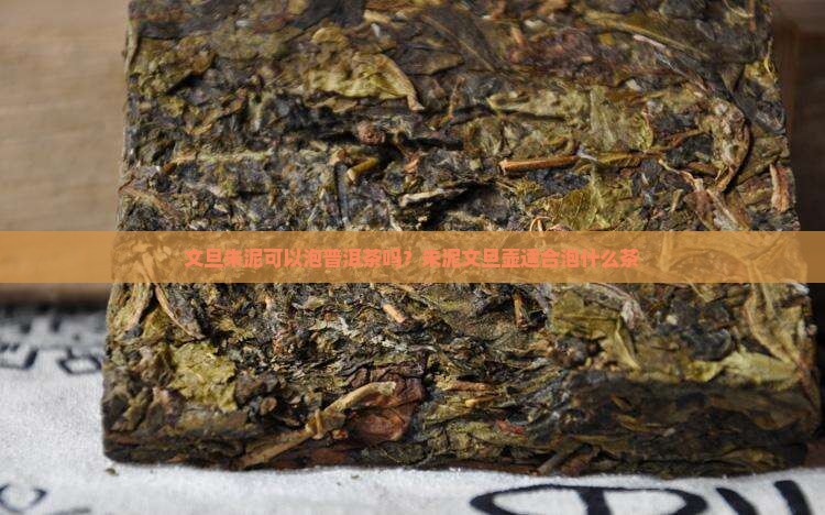 文旦朱泥可以泡普洱茶吗