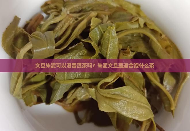 文旦朱泥可以泡普洱茶吗