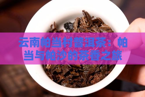 云南帕当村普洱茶