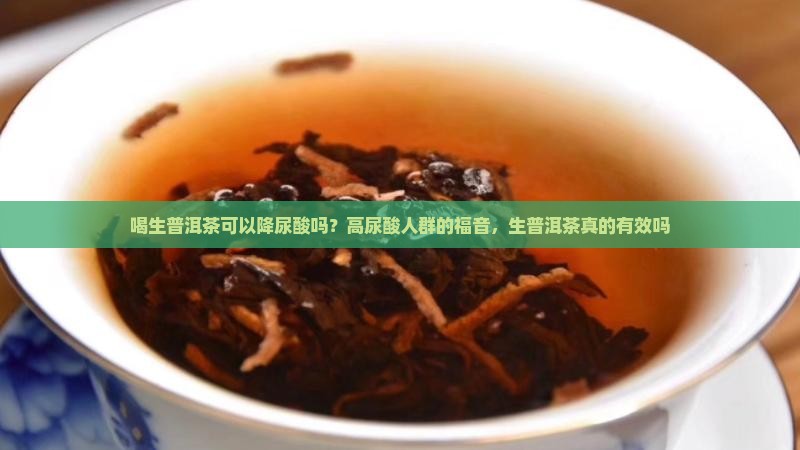 喝生普洱茶可以降尿酸吗